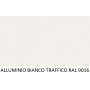 COLORE BIANCO TRAFFICO RAL 9016