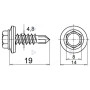 QUOTE VITE AUTOFORANTE Zincata Ø4,8X19mm Testa Esagono 8 con rondella guarnita Ø14