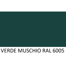 NASTRO LAMIERA PREV. VERDE MUSCHIO RAL 6005 2F+PEL. SP. 6/10