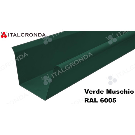 GRONDA A CASSETTA con Riccio Base piana lamiera preverniciata
