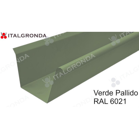 GRONDA A CASSETTA c/Riccio base 7 10 cm ALL. PREVERNICIATO DA ML.1,0