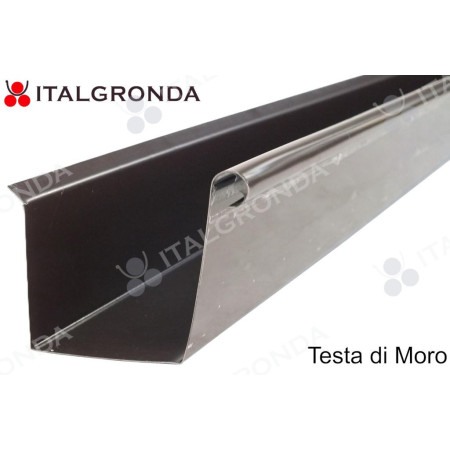 GRONDA A CASSETTA base 7 con Riccio testamoro