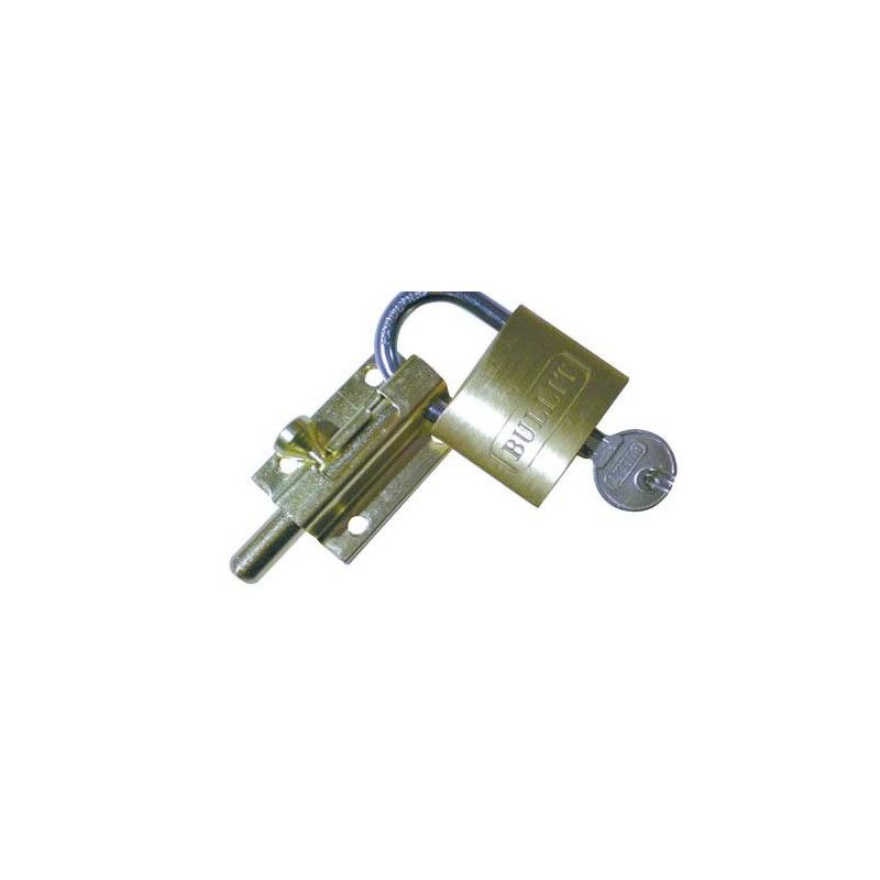 Vachette 1170/SC - Serratura Per Box Con Portalucchetto, Misura 70x80 Mm, Per Lucchetto Con Staffa Max 7 Mm, Viti Incluse - 2