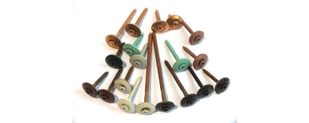 Vite Inox A2 Colorate con Rondella e Guarniz. 